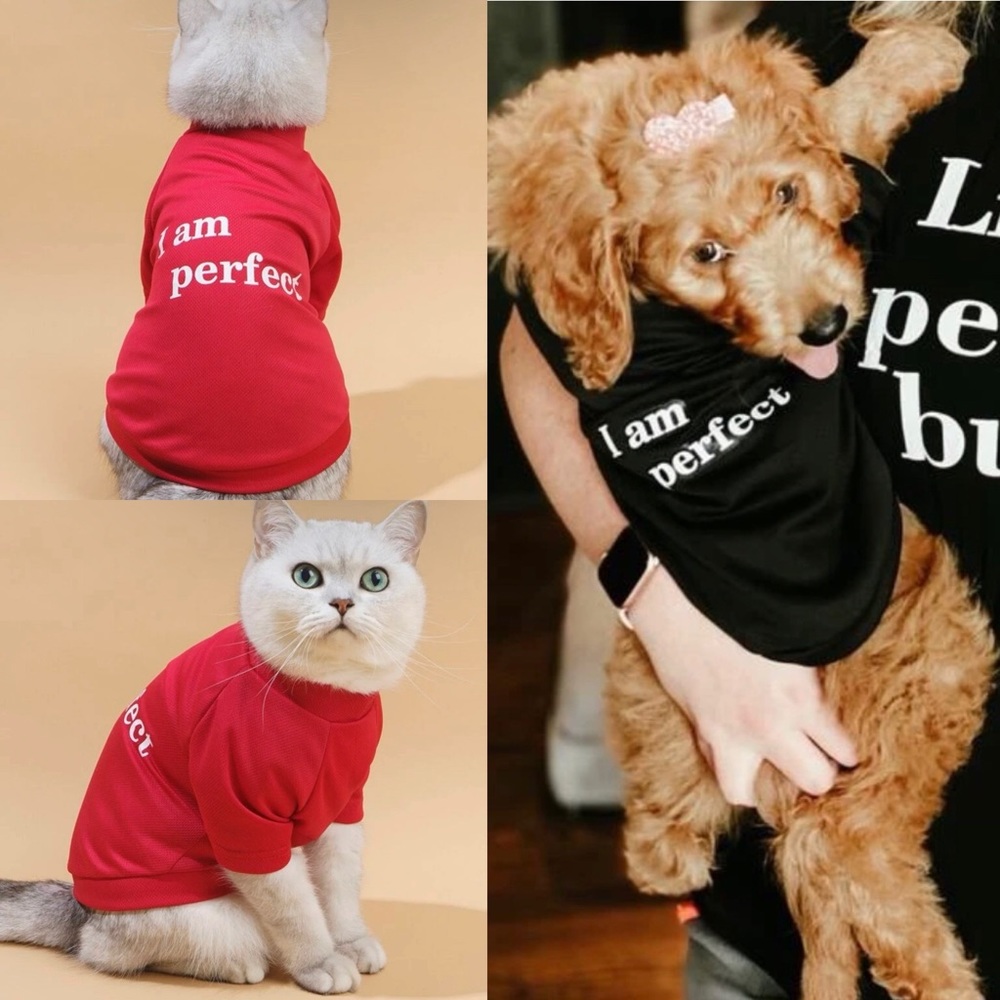 2/$10 Pet Tshirt “I Am Perfect”